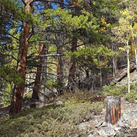 5347 Monitor Lode Claims Leadville CO 80461
