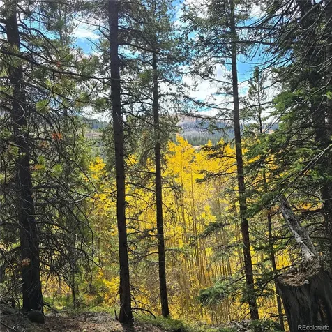 5347 Monitor Lode Claims Leadville CO 80461
