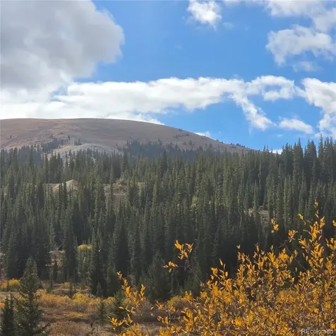 5347 Monitor Lode Claims Leadville CO 80461