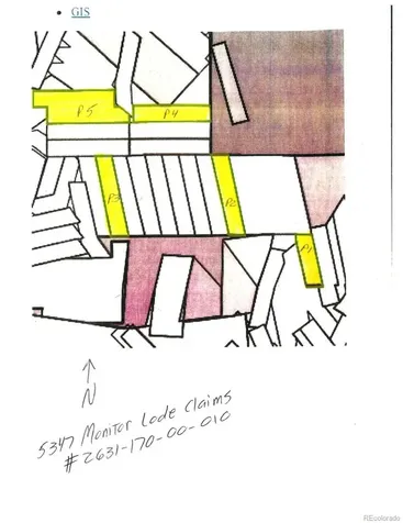 5347 Monitor Lode Claims Leadville CO 80461