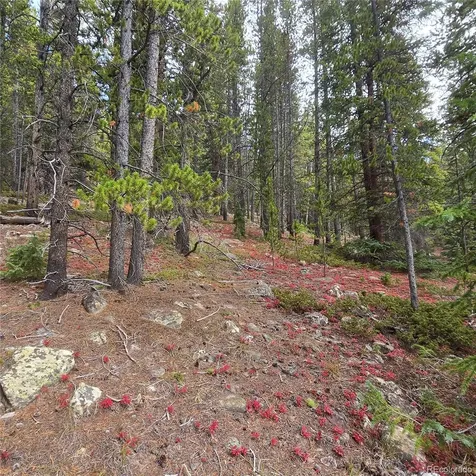5347 Monitor Lode Claims Leadville CO 80461