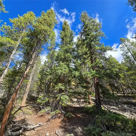 5347 Monitor Lode Claims Leadville CO 80461