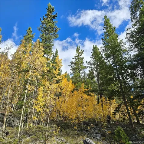 5347 Monitor Lode Claims Leadville CO 80461