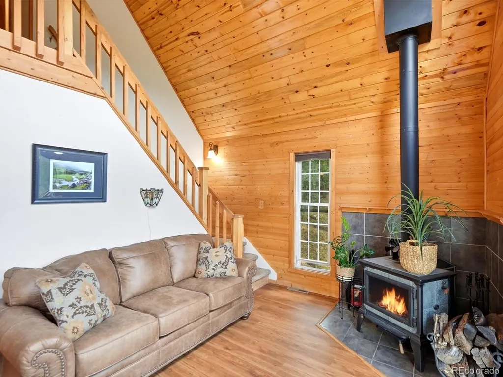 10 Juniper Way Bailey CO 80421