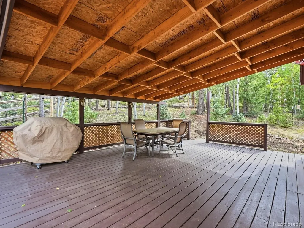 10 Juniper Way Bailey CO 80421