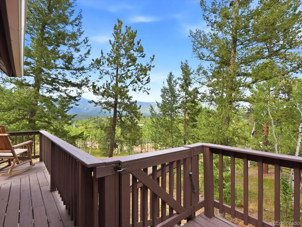 10 Juniper Way Bailey CO 80421