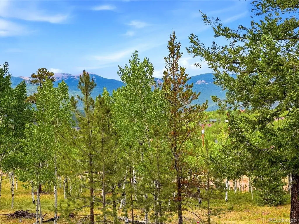 10 Juniper Way Bailey CO 80421