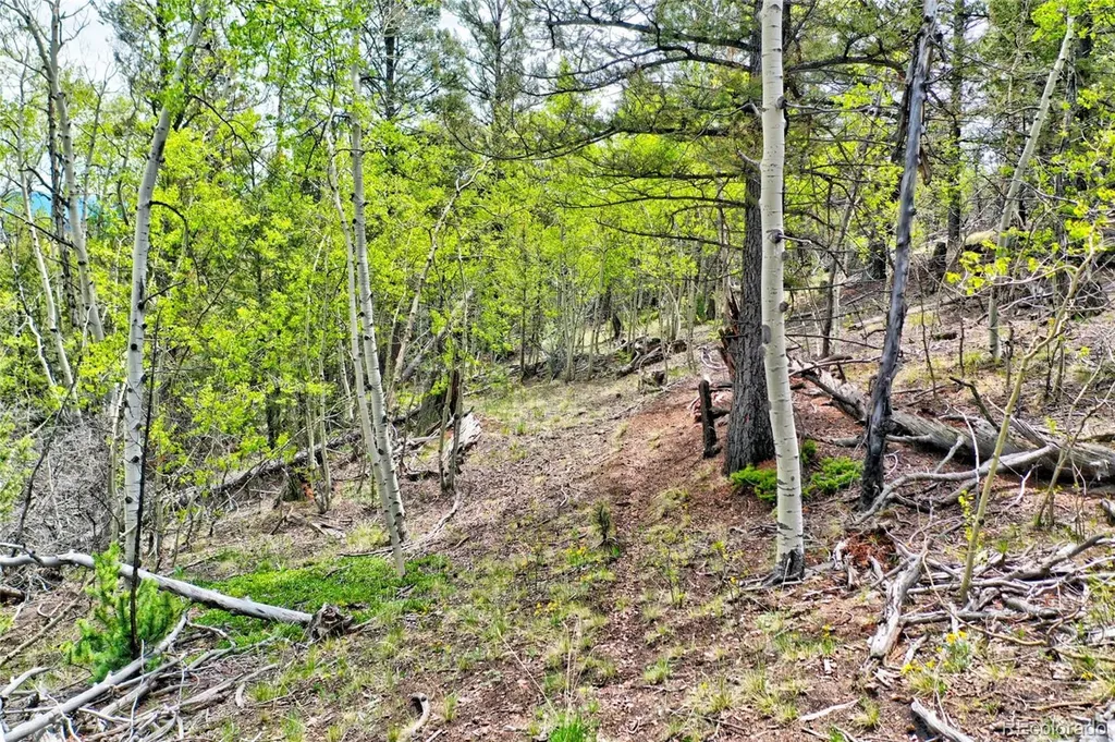 28 Old Squaw Road Jefferson CO 80456
