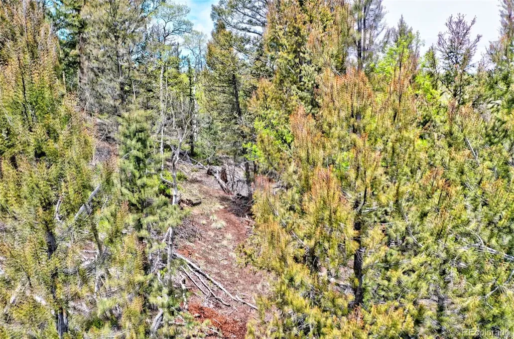 28 Old Squaw Road Jefferson CO 80456