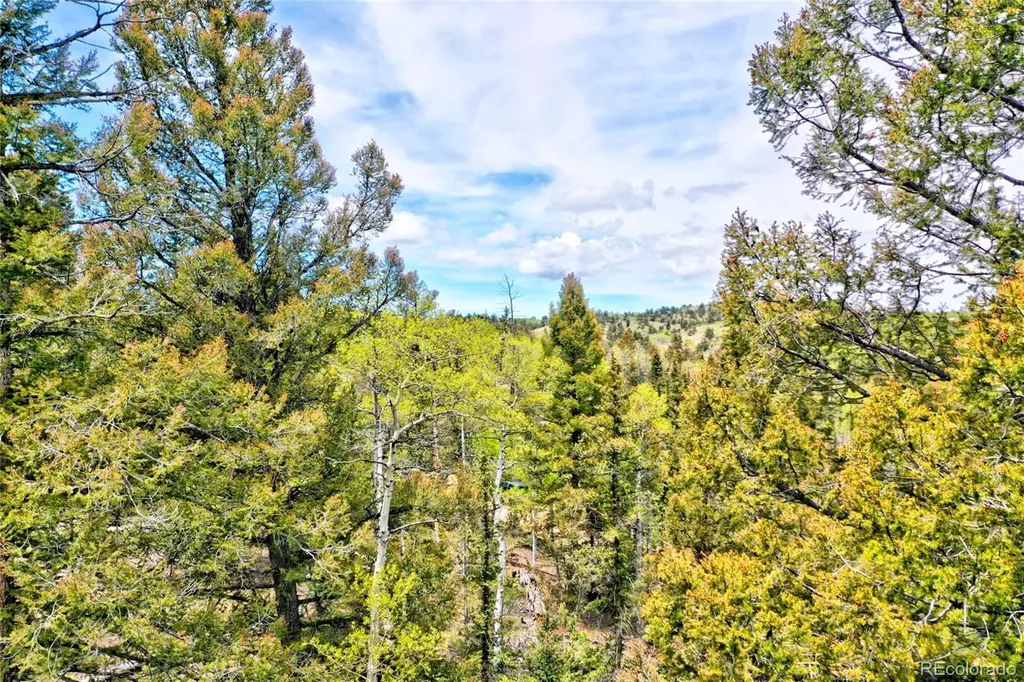 28 Old Squaw Road Jefferson CO 80456