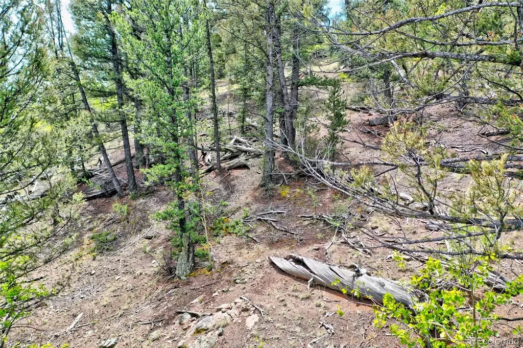 28 Old Squaw Road Jefferson CO 80456