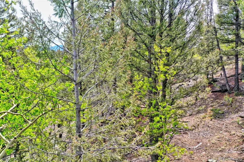 28 Old Squaw Road Jefferson CO 80456