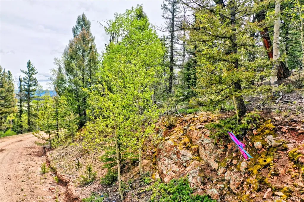 28 Old Squaw Road Jefferson CO 80456