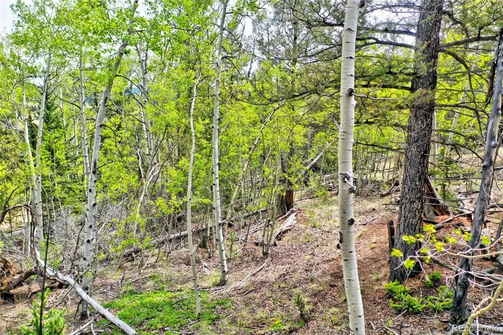 28 Old Squaw Road Jefferson CO 80456