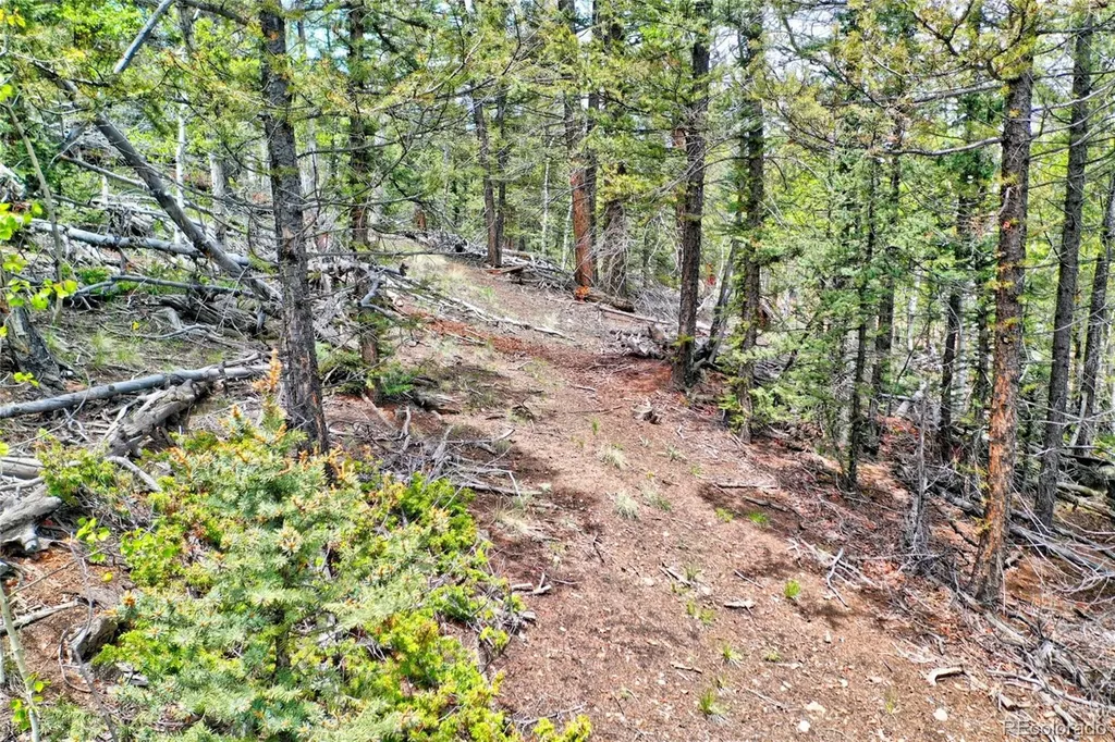 28 Old Squaw Road Jefferson CO 80456