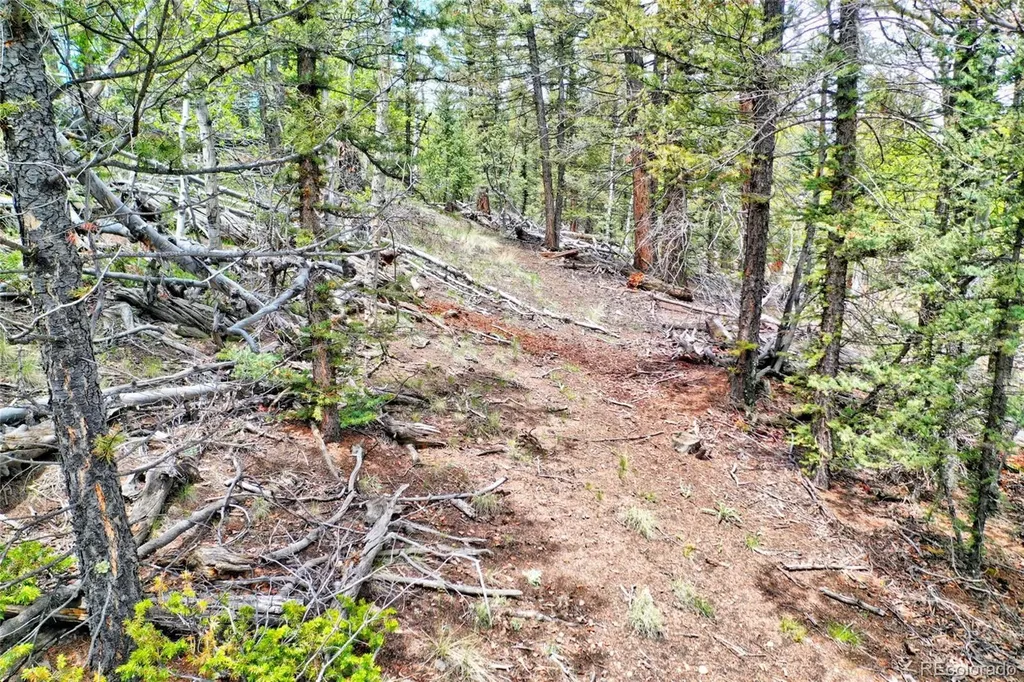 28 Old Squaw Road Jefferson CO 80456