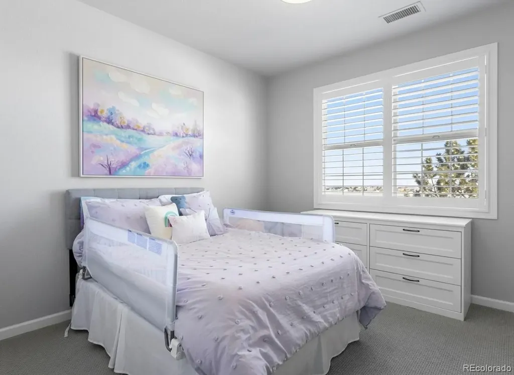 6247 El Diente Peak Place Castle Rock CO 80108