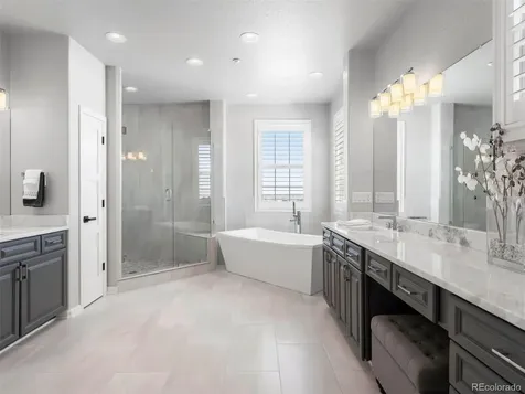 6247 El Diente Peak Place Castle Rock CO 80108
