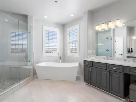 6247 El Diente Peak Place Castle Rock CO 80108