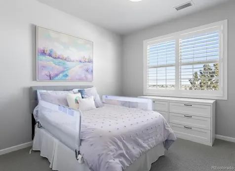 6247 El Diente Peak Place Castle Rock CO 80108