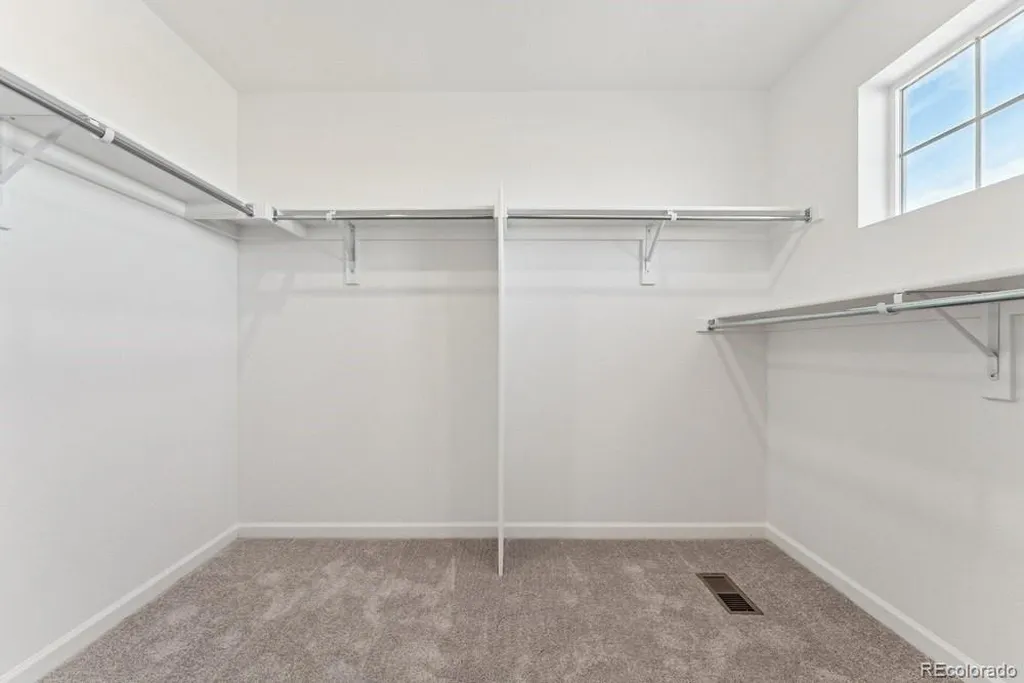 8732 Whiteclover Street Littleton CO 80125