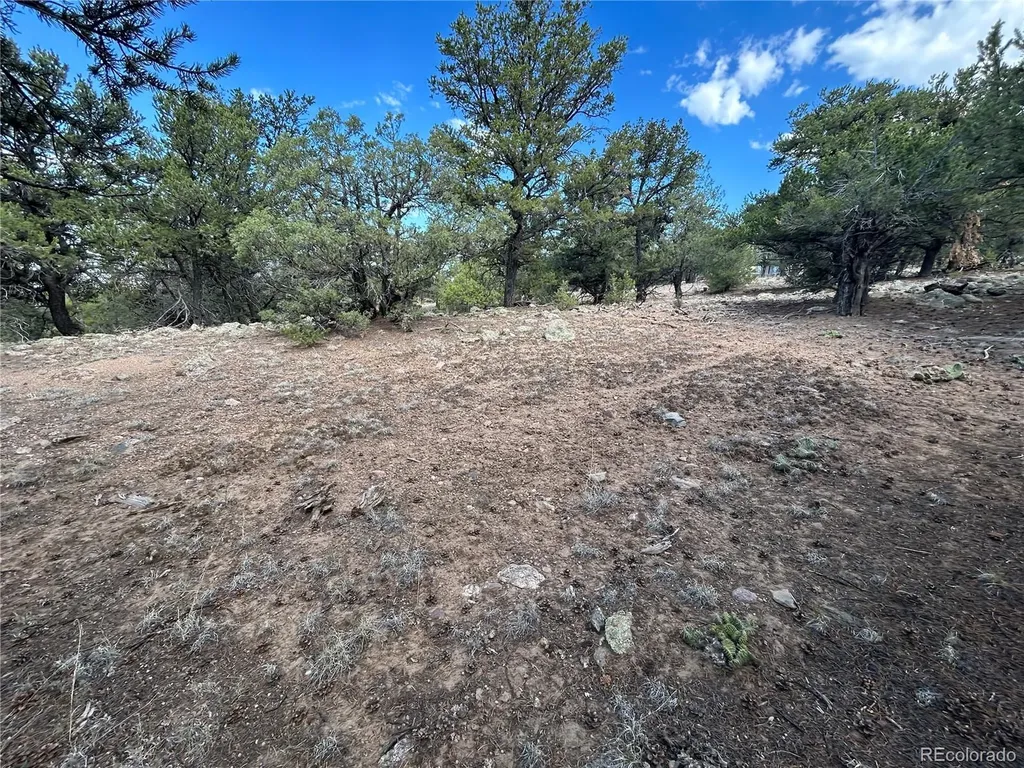1761 Summitview Way Crestone CO 81131