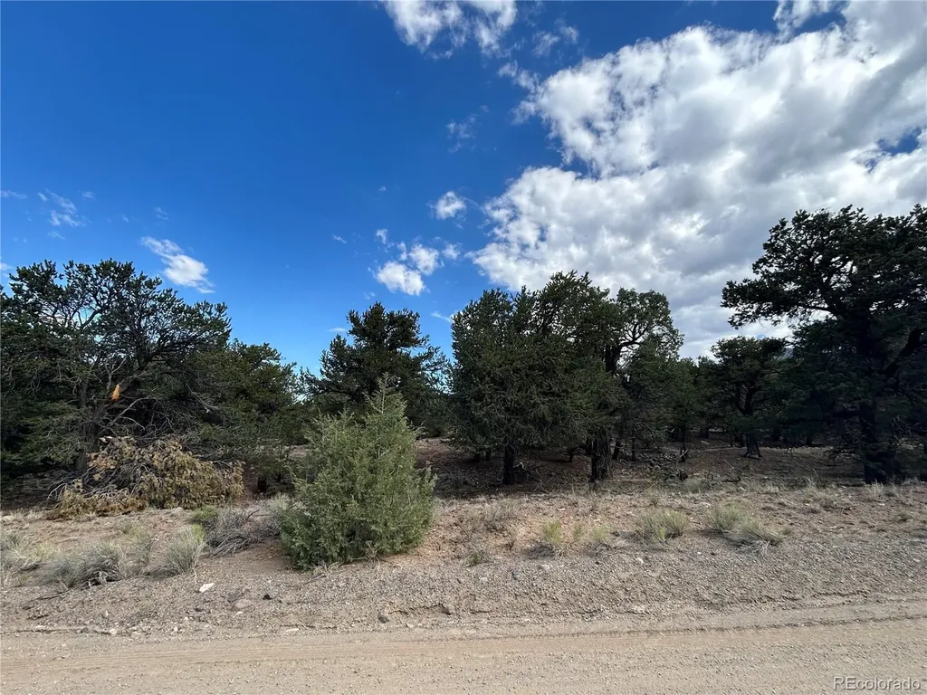 1761 Summitview Way Crestone CO 81131