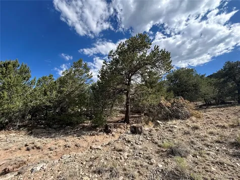 1761 Summitview Way Crestone CO 81131