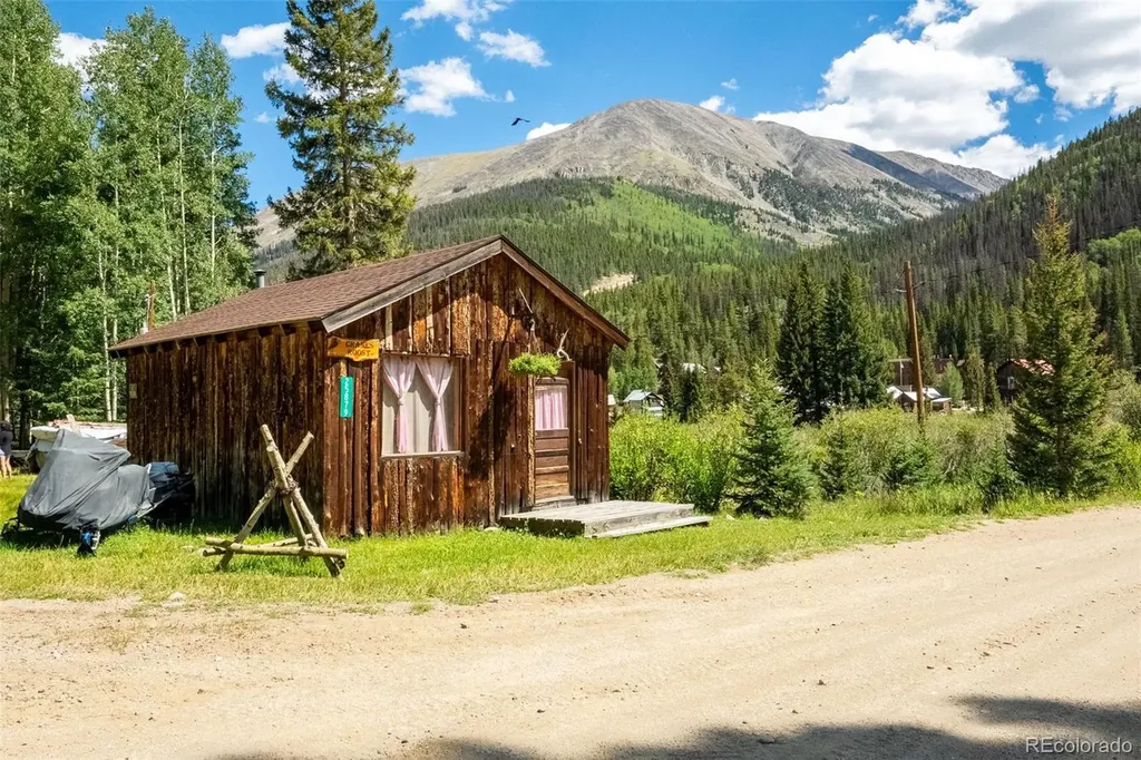 25879 County Road 162e Nathrop CO 81236