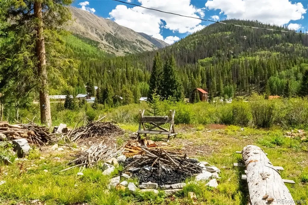25879 County Road 162e Nathrop CO 81236