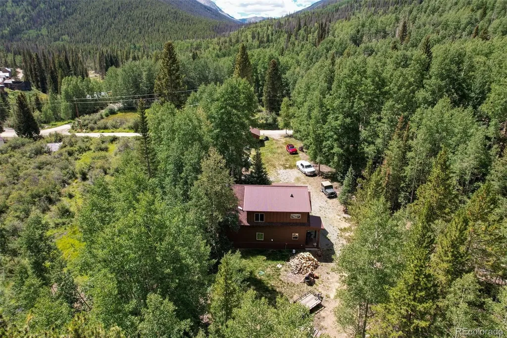 25879 County Road 162e Nathrop CO 81236