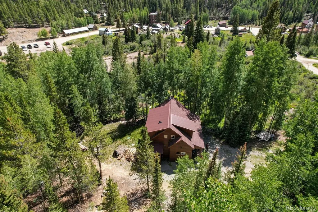 25879 County Road 162e Nathrop CO 81236
