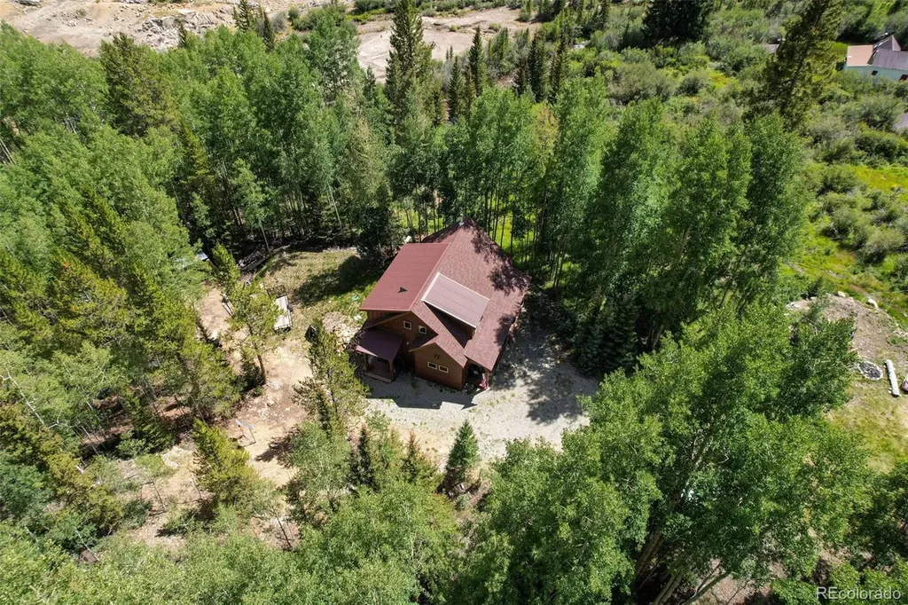 25879 County Road 162e Nathrop CO 81236
