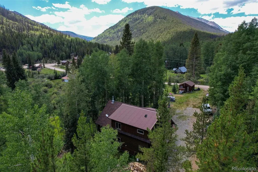 25879 County Road 162e Nathrop CO 81236