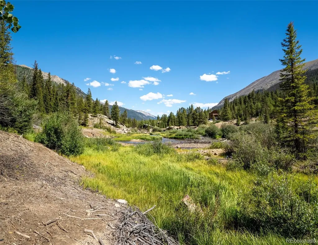 25879 County Road 162e Nathrop CO 81236