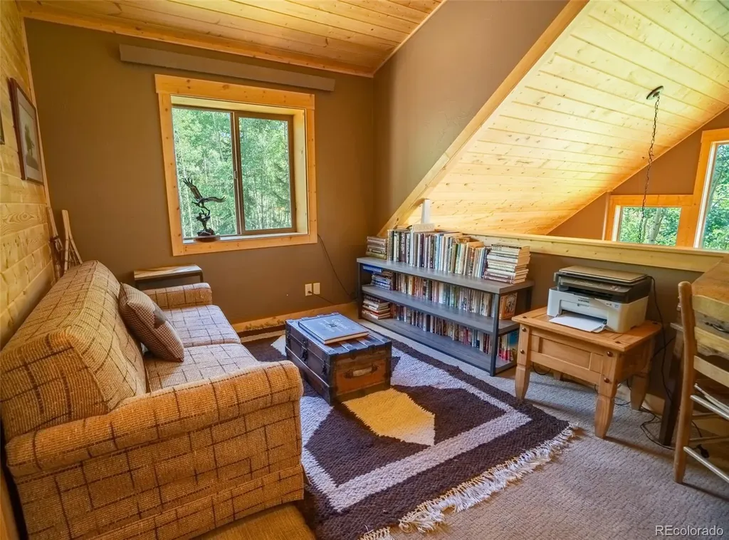 25879 County Road 162e Nathrop CO 81236