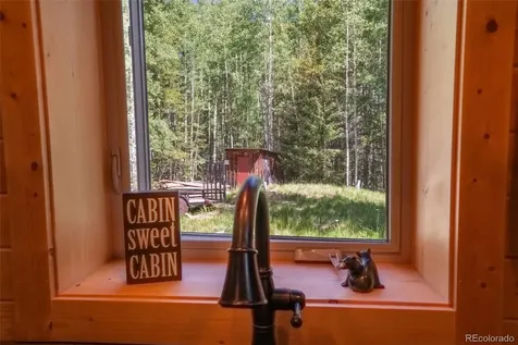 25879 County Road 162e Nathrop CO 81236