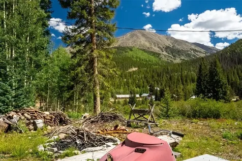 25879 County Road 162e Nathrop CO 81236