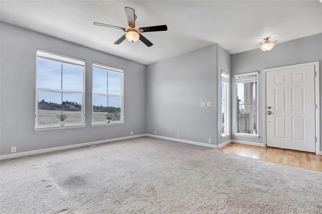 17099 Blue Mist Grove Monument CO 80132