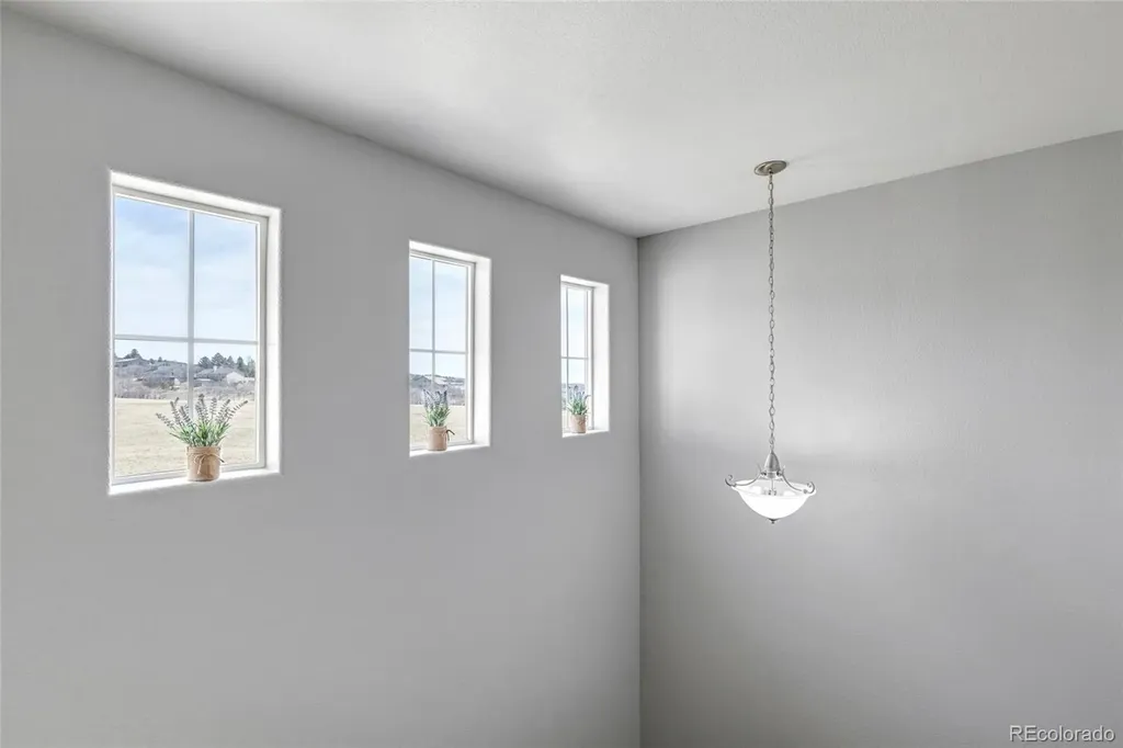17099 Blue Mist Grove Monument CO 80132