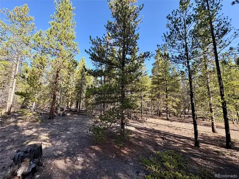 776 Birch Drive Twin Lakes CO 80461