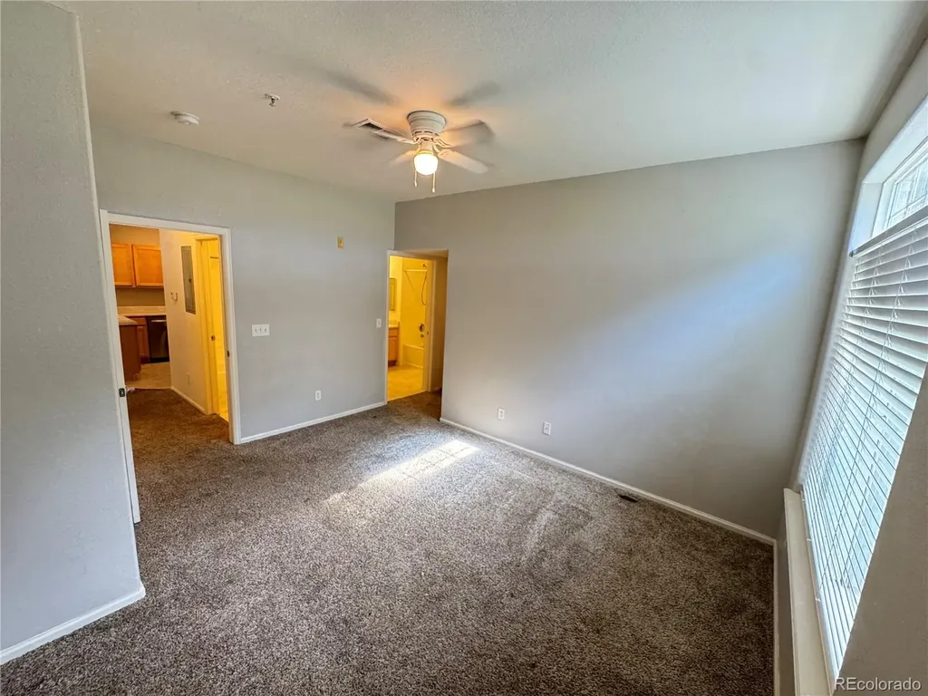 474 Black Feather Loop Castle Rock CO 80104