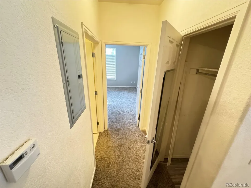 474 Black Feather Loop Castle Rock CO 80104