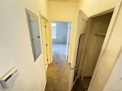 474 Black Feather Loop Castle Rock CO 80104