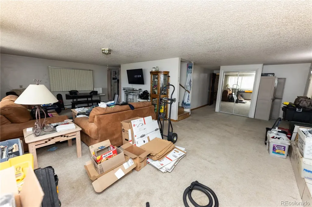 20 Mount Blanca Court Monte Vista CO 81144