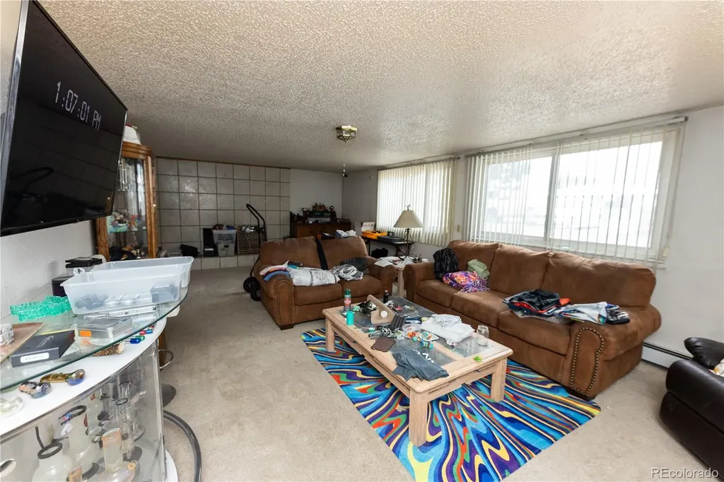 20 Mount Blanca Court Monte Vista CO 81144
