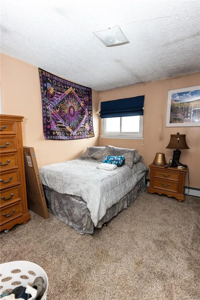 20 Mount Blanca Court Monte Vista CO 81144