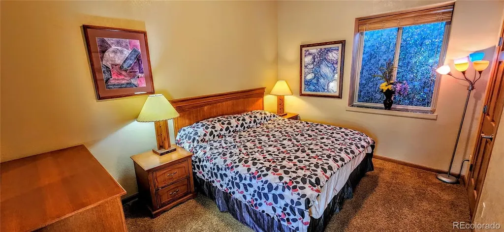 562 Piney Acres Circle Dillon CO 80435