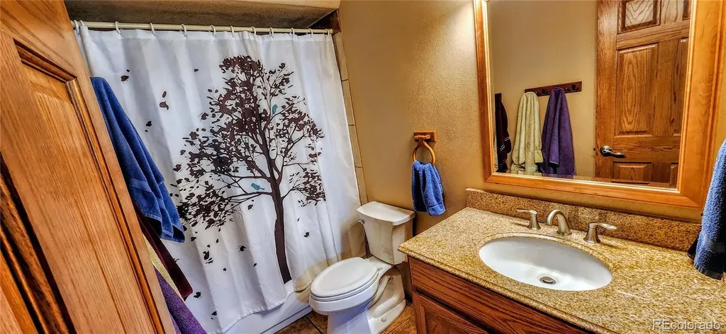 562 Piney Acres Circle Dillon CO 80435
