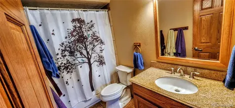 562 Piney Acres Circle Dillon CO 80435